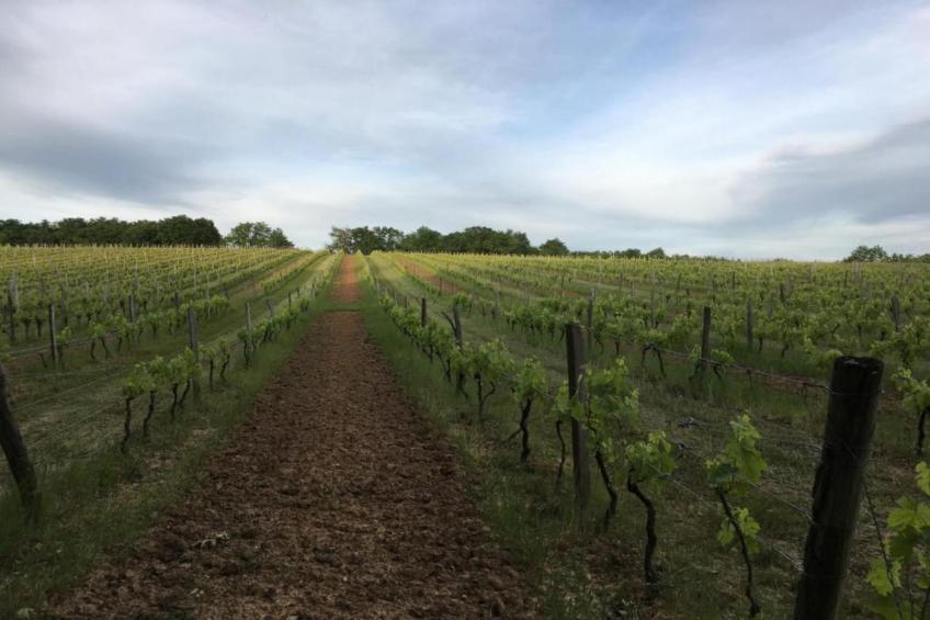 Maison de vacances - LES EYZIES-DE-TAYAC - foto 35