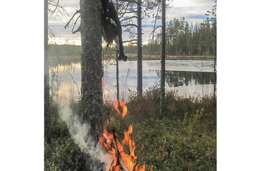 Virsuniemi - foto 23