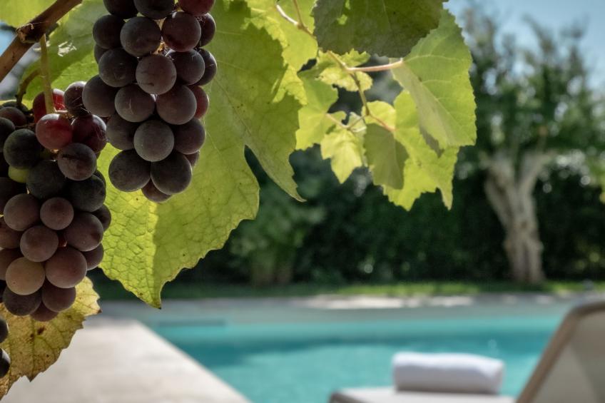 Ferienvilla 'Altra Metà - foto 35