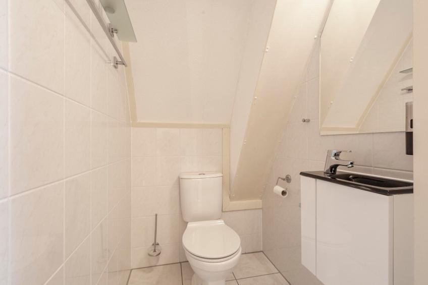 Campanula 52 - foto 25