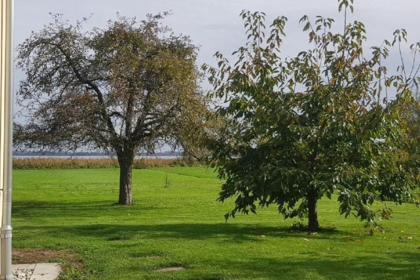 zum Regenbogen in Ermatingen - foto 57