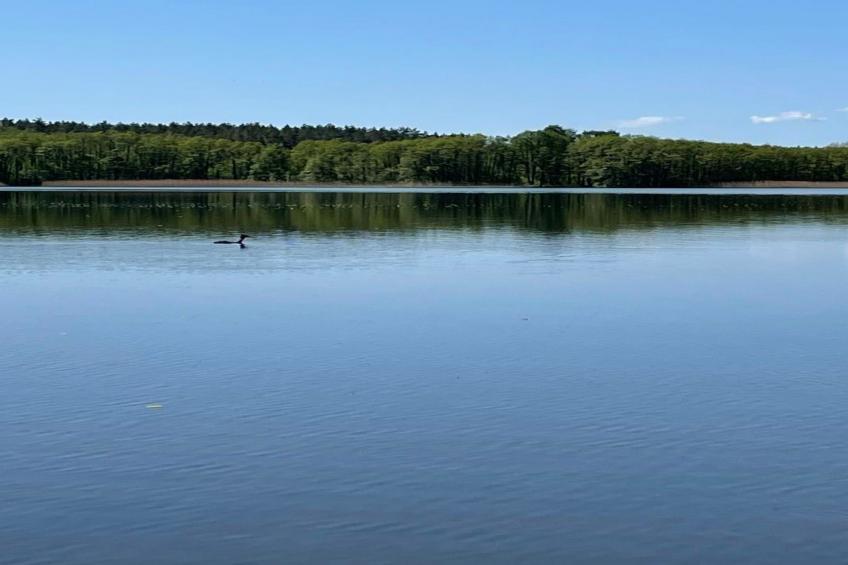 Charmantes kleines Häuschen am Blauen See - foto 4