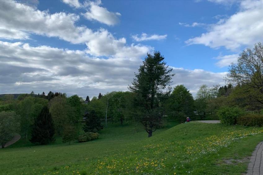 Waldferienhaus - foto 37