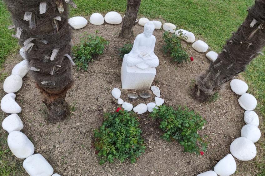 'Dear Peace on the Hill - foto 9