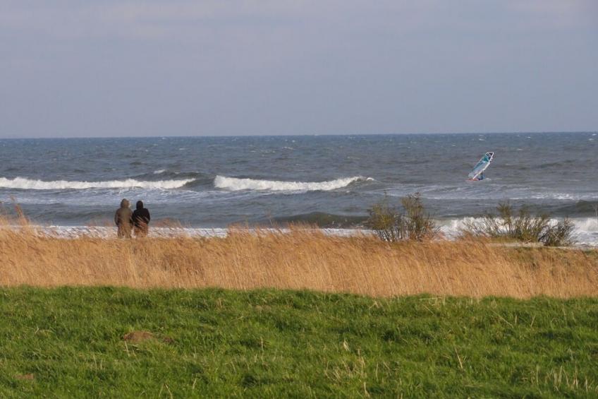 118955 - foto 37