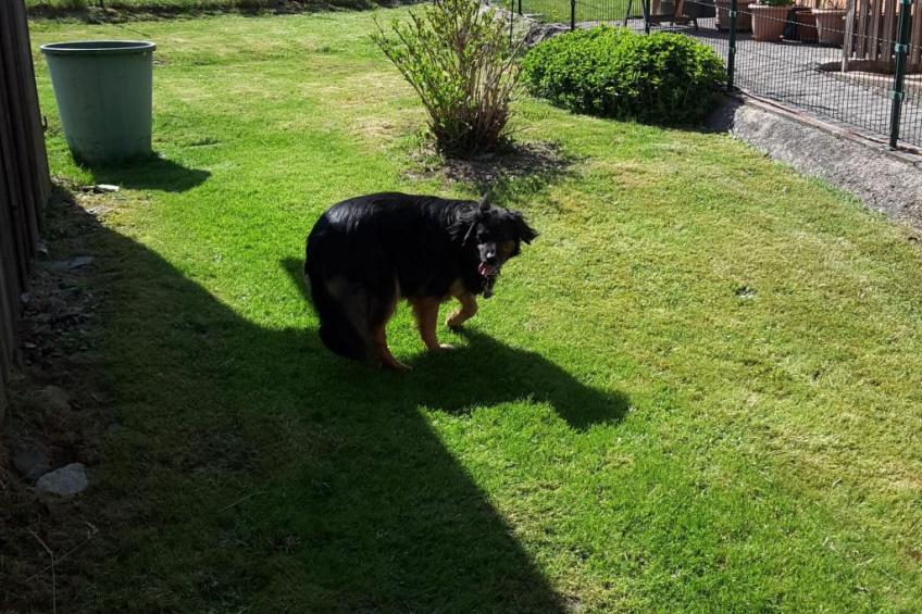 Schlossplatz - foto 10