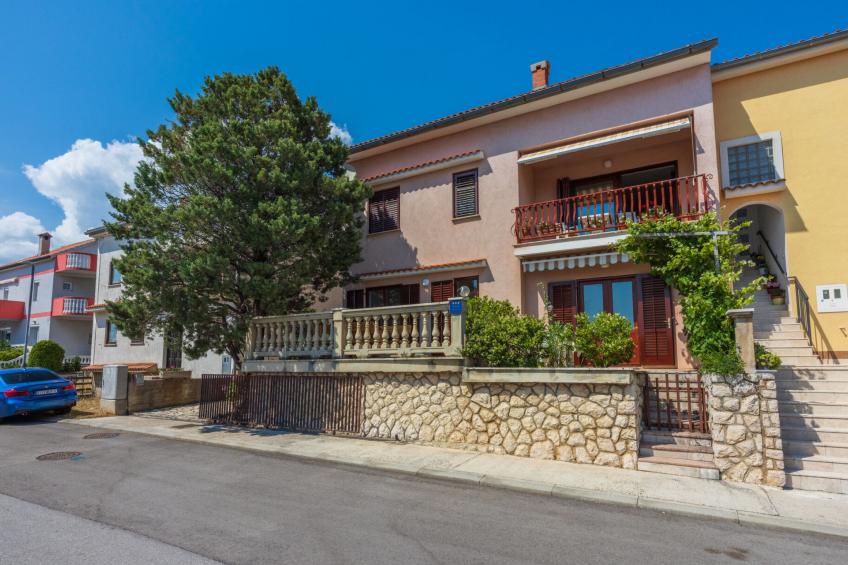 Agava mali / HR-11139-01 - foto 2