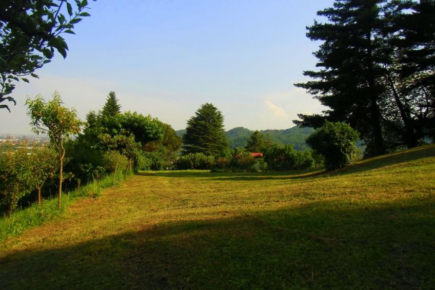 TaiObe - Fröhliches Partyhaus - foto 16