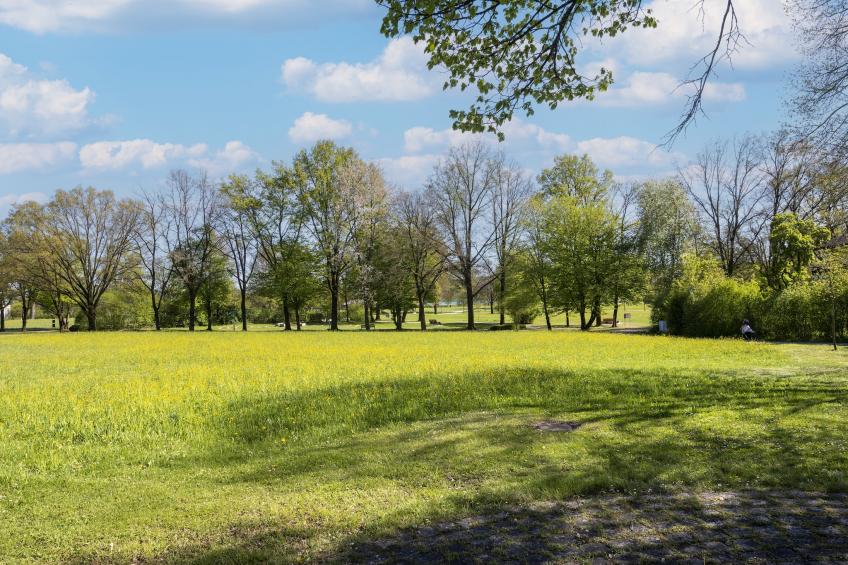 Haus am Kurpark - Studio 1 OG - foto 8