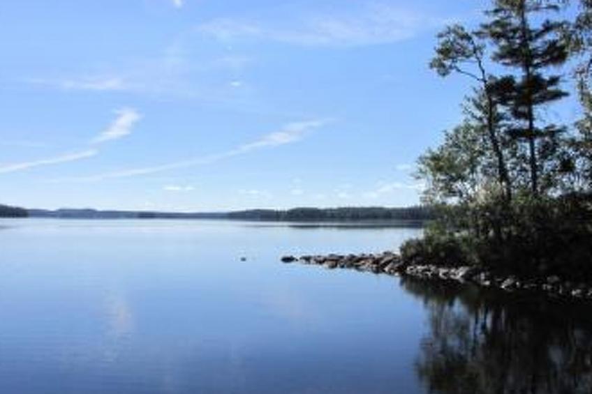 Lokki - foto 9