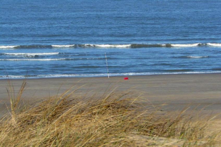 De Strandvogel - foto 33