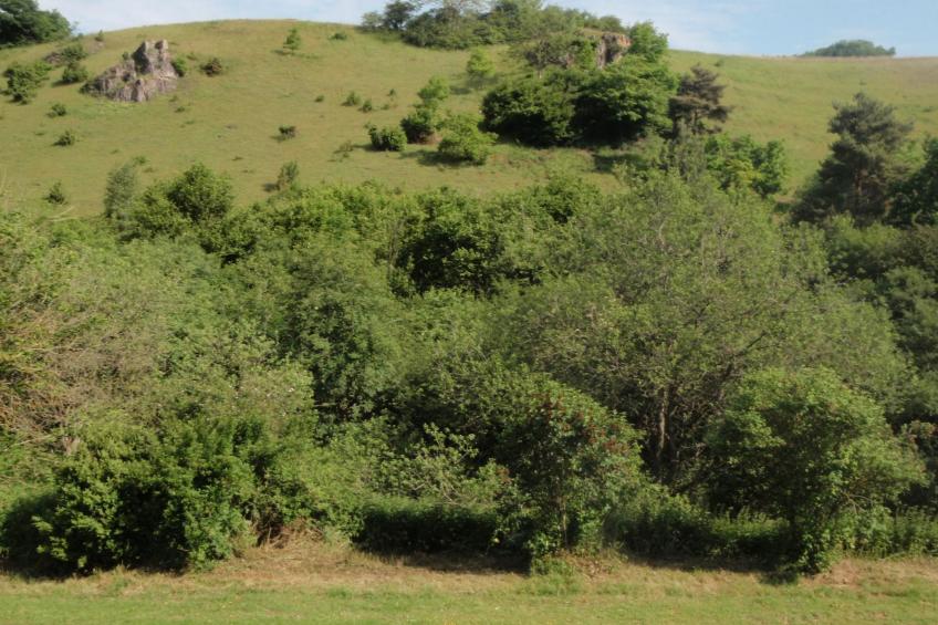 Resi Lux in Niederehe - foto 4