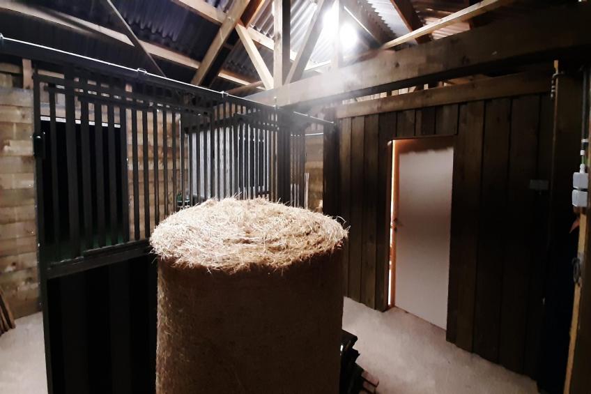 Le Vieux Chene - foto 32