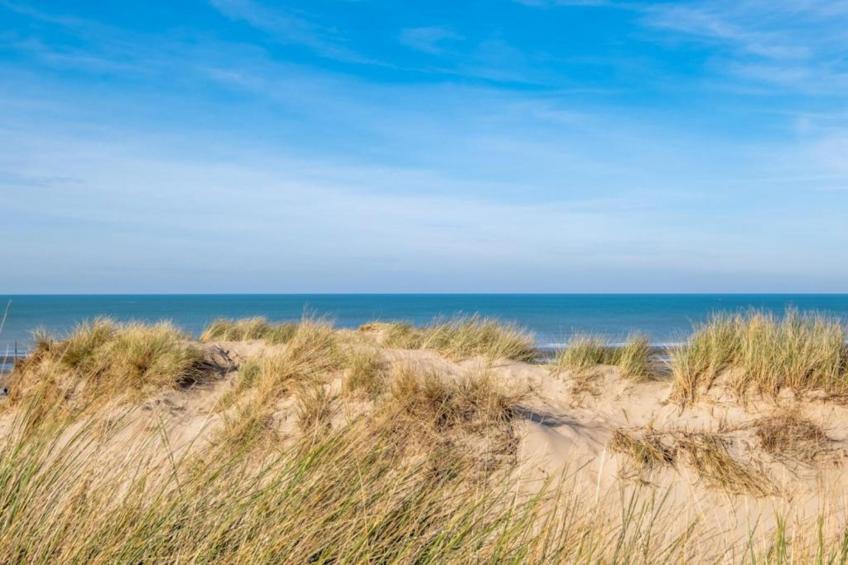 Dynastie - 0203 - foto 34