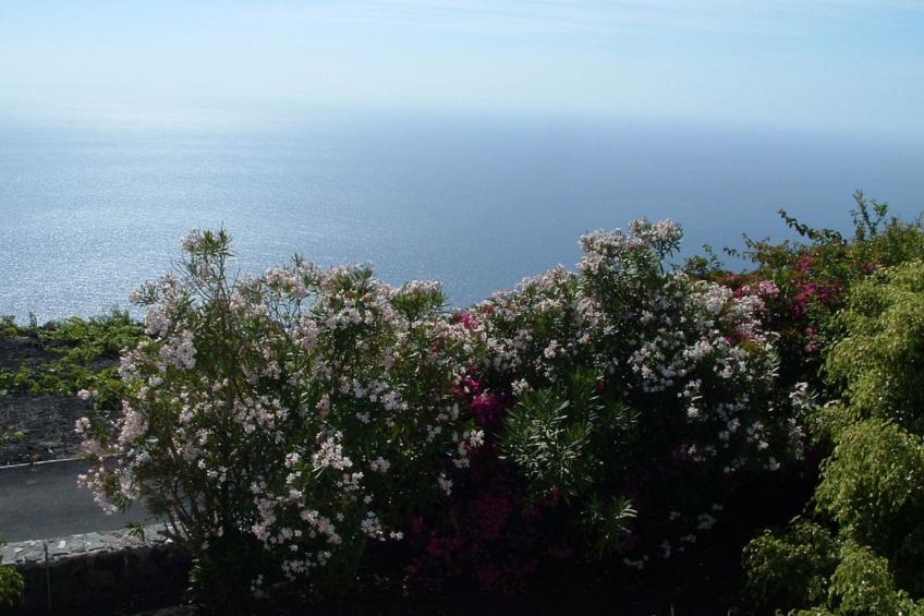 mit Garten und wunderbarer Aussicht - foto 37