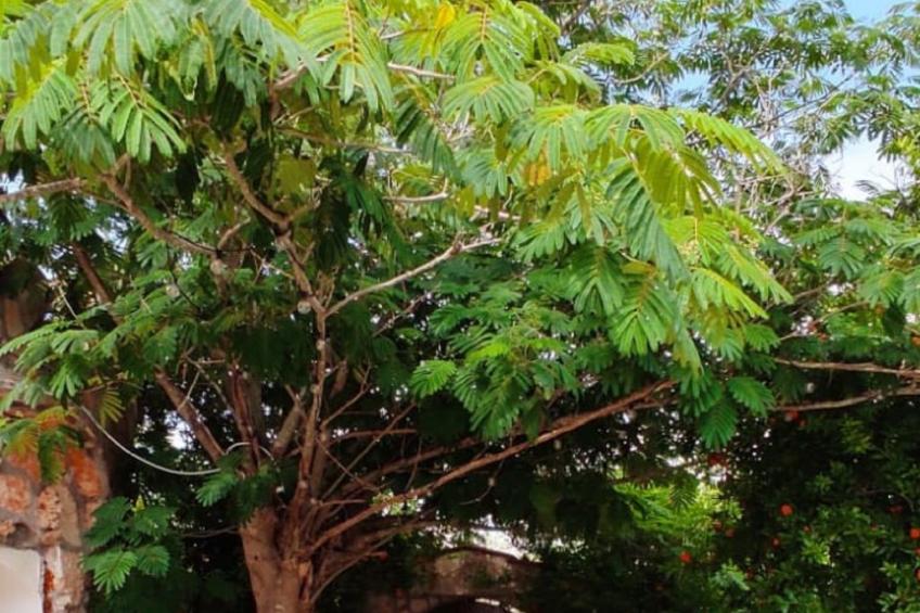 Villa Barone Landhaus mit Pool - foto 45