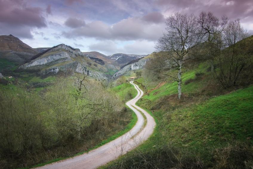 Fachwerkhaus mit Garten - foto 33