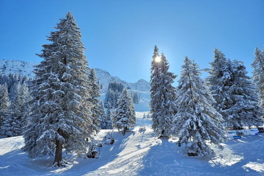 Fewo Pistenblick - foto 12