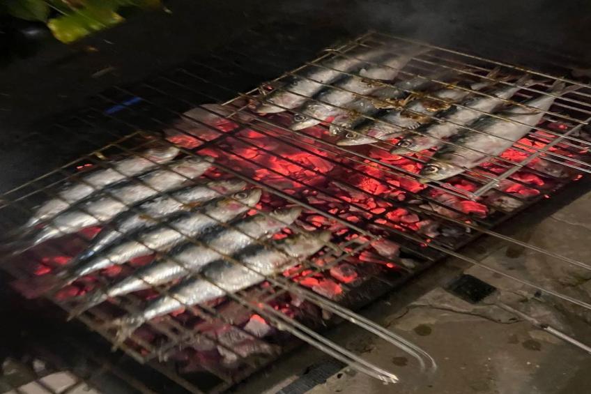 Großmutters Scheune - foto 39