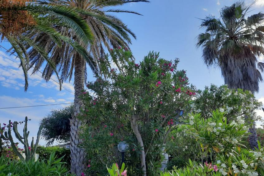 Schöner zentraler Bungalow direkt am Sandstrand auf Sizilien - foto 31