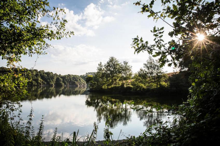 Maison à Saint Maixent sur Vie - foto 38