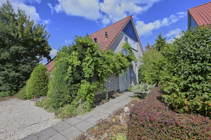 Aan de oever - foto 60