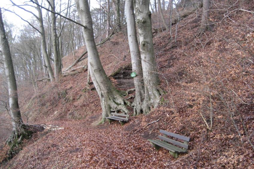 in der Vulkaneifel - foto 19