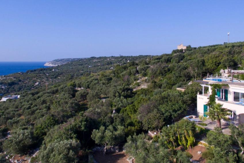 in Gagliano Del Capo mit Privatem Pool - foto 33