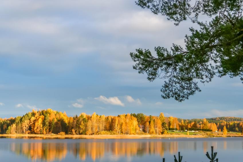 Riutankolo, mustosen lomamökit - foto 44