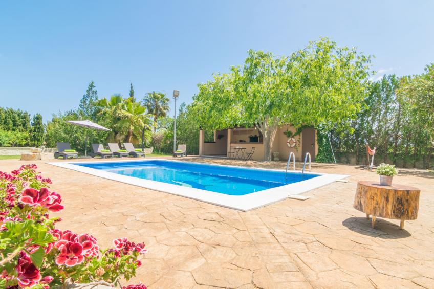 FINCA MIRALLES - foto 5
