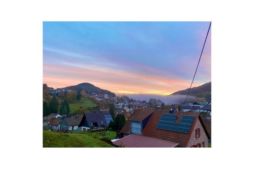 432602 - foto 4