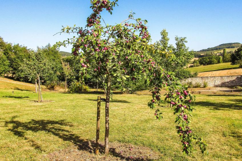 Villa Tournesol - foto 26