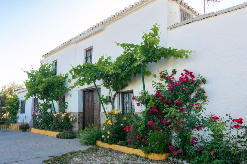 Landhaus Huerta la Lapa - foto 8