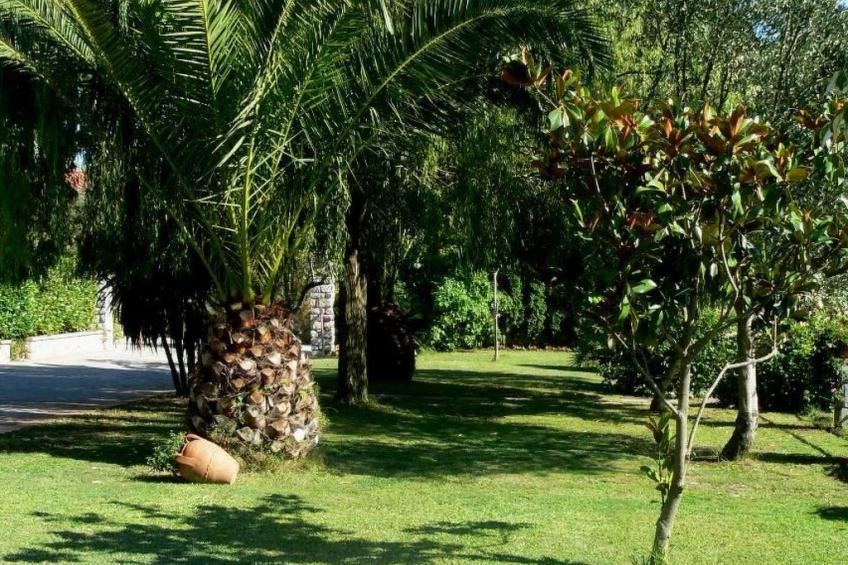 Appartement in Centola mit Grill, Terrasse und Garten - foto 10