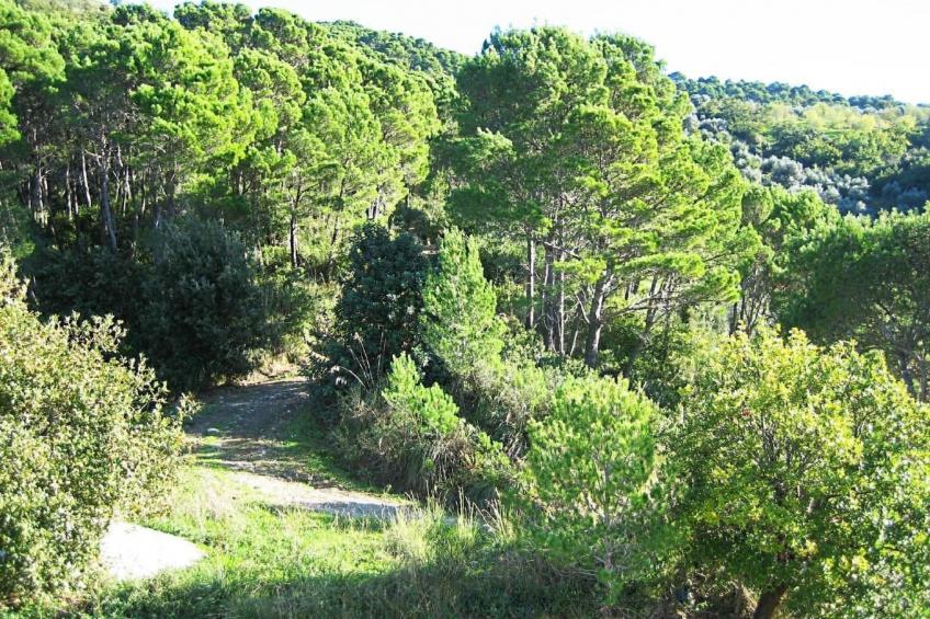 Schöne Ferienwohnug - foto 31