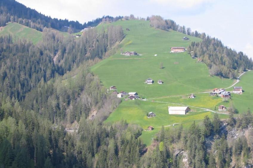 Altes Walserhaus - foto 7