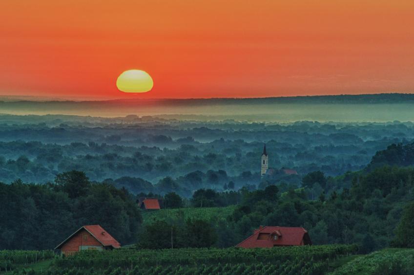 Marijan - foto 29