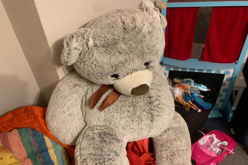 Ganzenmars - foto 26