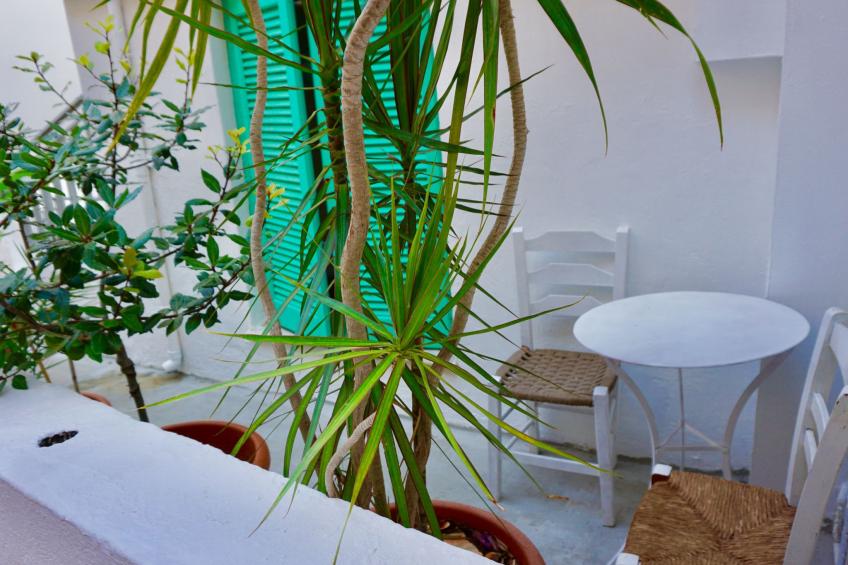 Urban Garden Apartments - foto 16