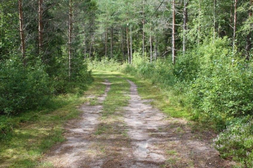 Willkommen im Stable House - foto 38