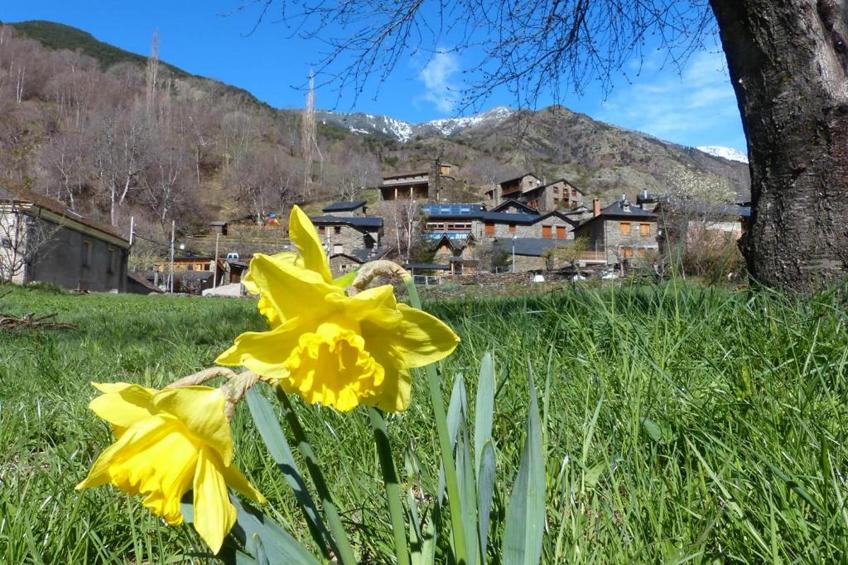 Casa La Pica - foto 32