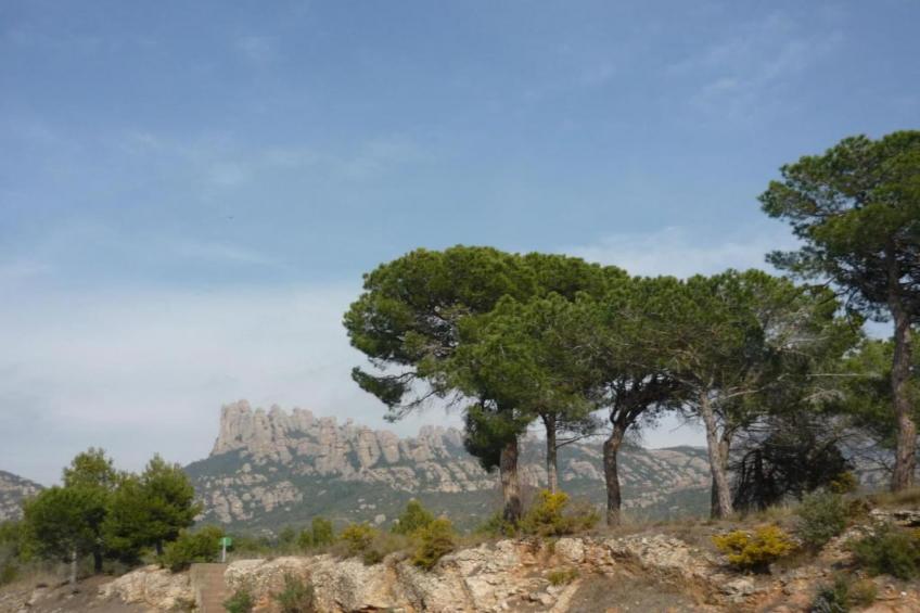 Can Códol 1 - foto 34