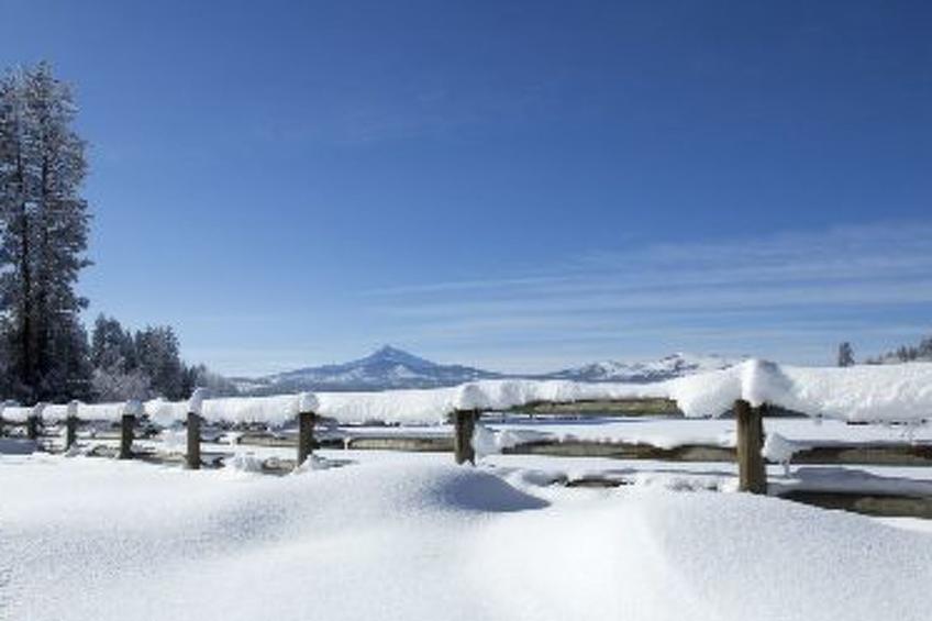 Meister´s Ferienhaus - foto 21