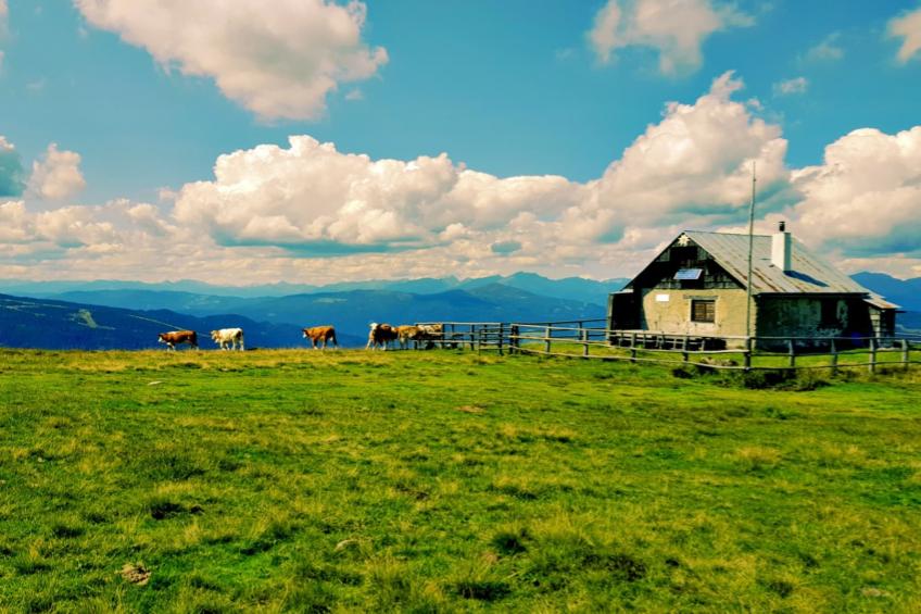 Ferienhaus Krapflgeusche - foto 13