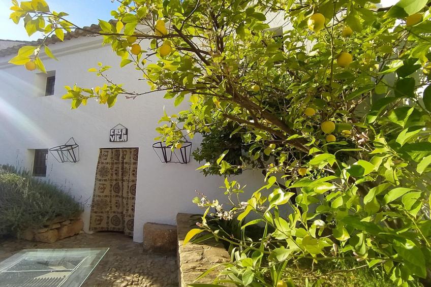 La Casa Vieja - foto 7