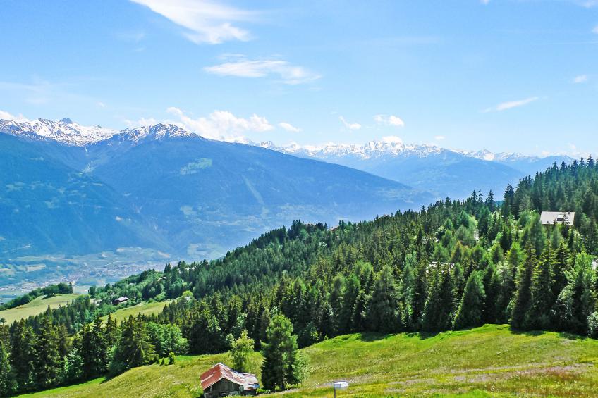 La Clairière des Barzettes A/B - foto 15