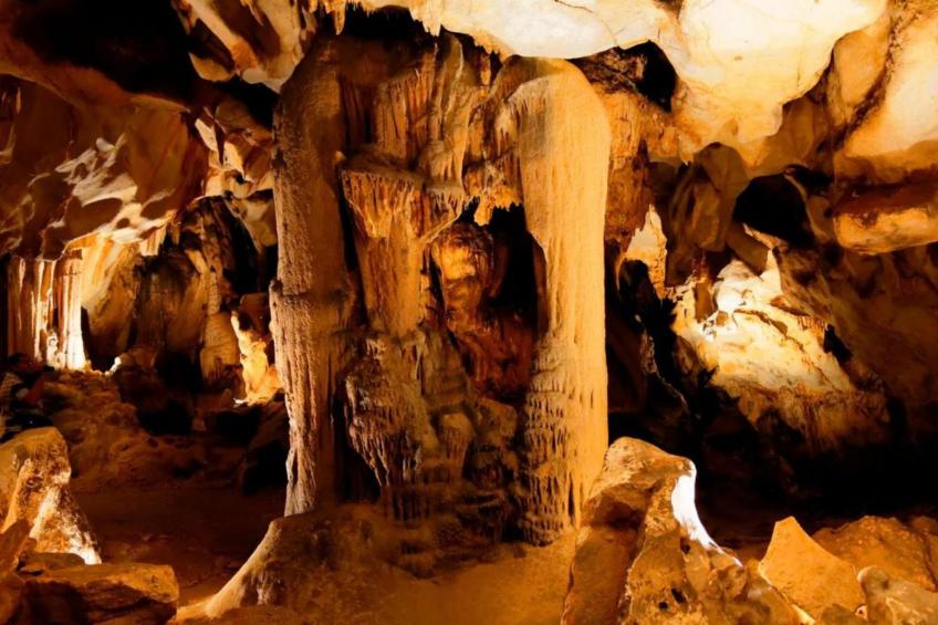 Villa Sainte Valière - foto 37