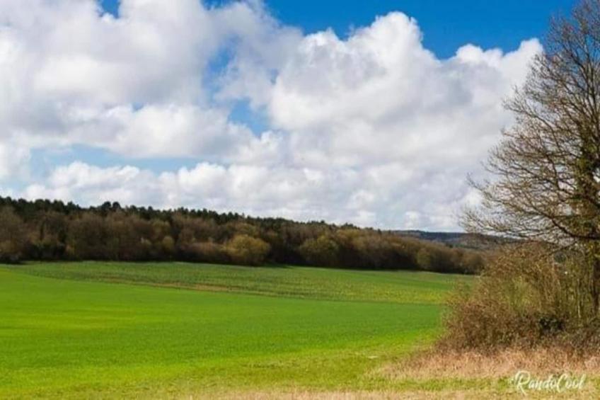 Verblijfpark Ardinam 4 - foto 34