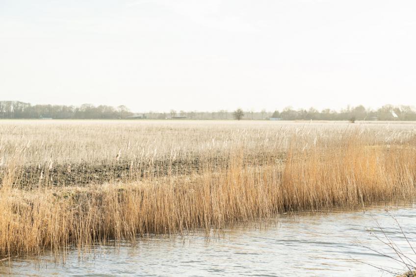 Die entspannteste FeWo an der Nordseeküste - Sauna - foto 22