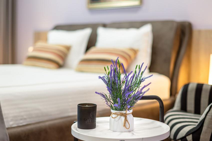 Luxuriöses Studio 1 mit Terrasse - foto 3